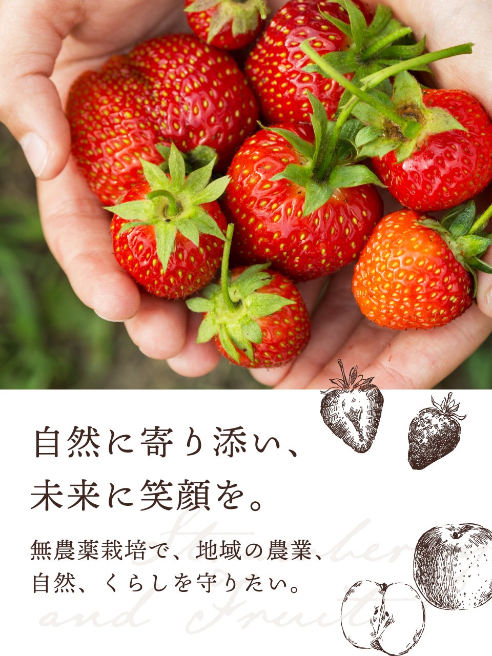 自然に寄り添い、未来に笑顔を。無農薬だからこそ叶えられる、安心とやさしさの果実。